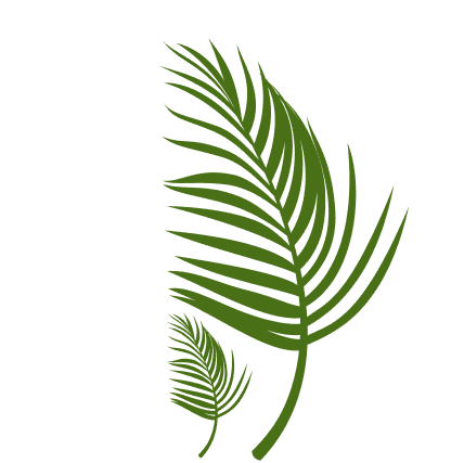 Every moment brings you closer to your true beauty